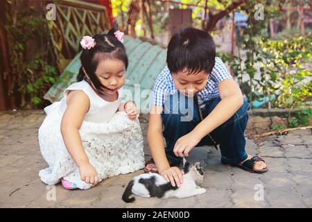 Bruder und Schwester Spaß und Spielen mit kleine Katze im Park Stockfoto