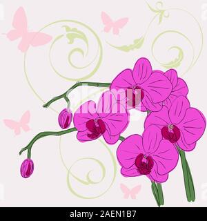 Zweig blühende Orchideen auf einem Hintergrund mit Schmetterlingen Stock Vektor