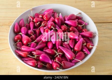Pitiguey rosa Früchte in weißer Schale. Von oben Stockfoto