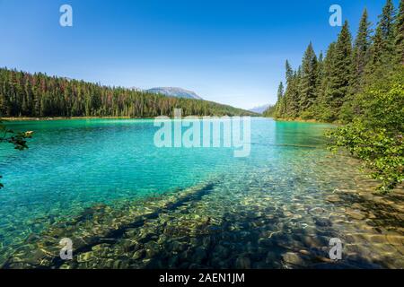 Türkisfarbene See, Tal der fünf Seen, Jasper National Park, in den Bergen, Alberta, Kanada Stockfoto