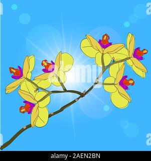 blühende Orchideen auf einem Hintergrund Zweig Stock Vektor