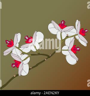 blühende Orchideen auf einem Hintergrund Zweig Stock Vektor
