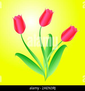 Vektor-Strauß aus drei schönen Tulpen Stock Vektor