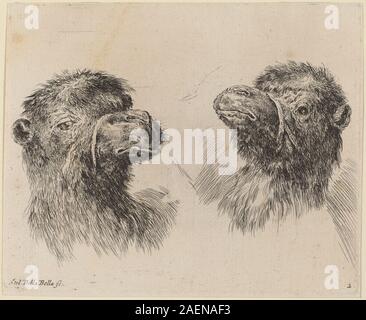 Diese Zeichnung von Stefano Della Bella, wahrscheinlich aus dem Jahr 1649, zeigt zwei Kamelköpfe in detaillierter Studie, die europäische Tierstudien des 17. Jahrhunderts, anatomische Beobachtung und dynamische Komposition veranschaulichen. Stockfoto