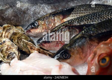 Frisch Fisch zum Verkauf an fischhändler gefangen Stockfoto