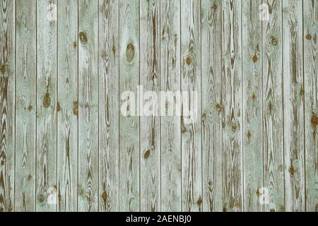 Hintergrund Textur des alten grau grün lackierten Holz- Verkleidung Boards an der Wand. Vertikale Holz- Textur. Getönten Bild. Stockfoto