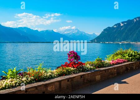 Montreux ist eine Stadt am Ufer des Genfer Sees am Fuße der Alpen in der Schweiz Stockfoto
