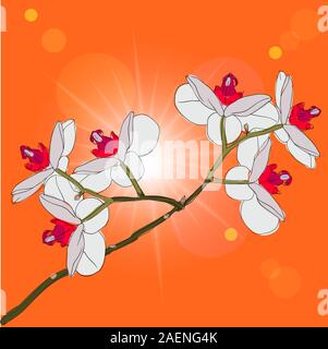blühende Orchideen auf einem Hintergrund Zweig Stock Vektor