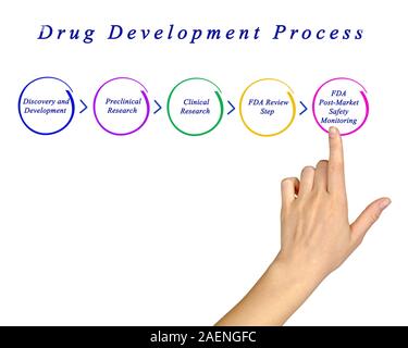 Diagramm der Arzneimittelentwicklung Stockfoto
