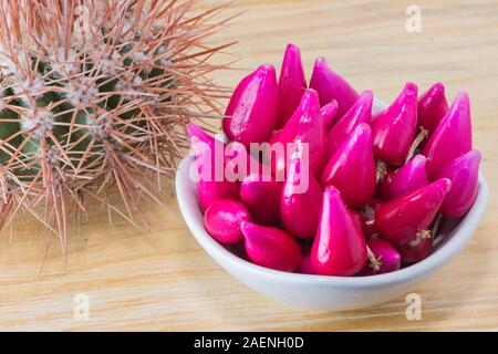Pitiguey Rosa Obstschale und Melocactus Curvispinus Stockfoto