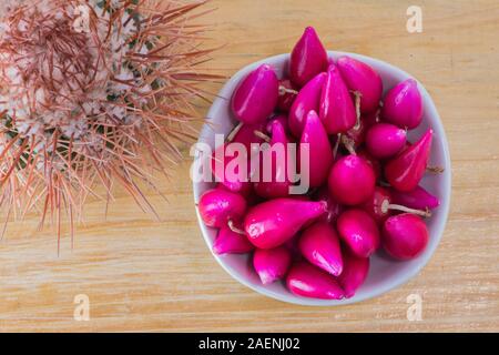 Pitiguey Rosa Frucht und Melocactus Curvispinus..from Abive Stockfoto