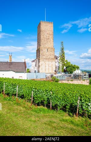 Weinkeller und Weinberge in Rüdesheim am Rhein, Stadt am Rhein, Deutschland Stockfoto