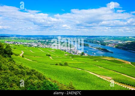 Weinberge, Rüdesheim und Bingen am Rhein Stadt Antenne Panoramablick in die Rheinebene, Deutschland Stockfoto