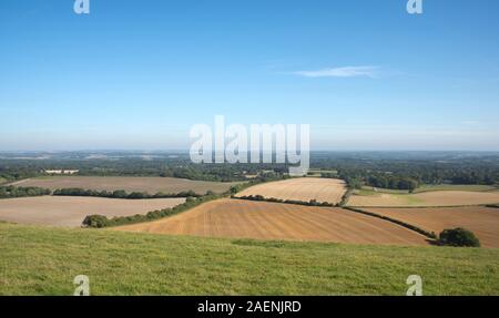 West Berkshire Ackerland, Wald, brachliegende Felder, Weiden, Müsli Stoppeln an einem schönen Herbsttag von der North Wessex Downs, September Stockfoto