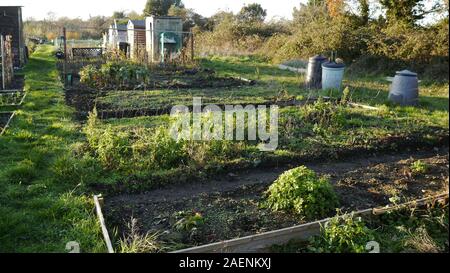Eine öffentliche Zuteilung Plot im Winter in Surrey, Großbritannien Stockfoto