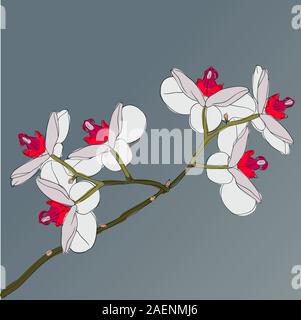 blühende Orchideen auf einem Hintergrund Zweig Stock Vektor