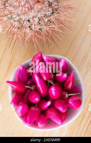 Pitiguey Rosa Frucht und Melocactus Curvispinus. Vertikal Von Oben Nach Unten Stockfoto