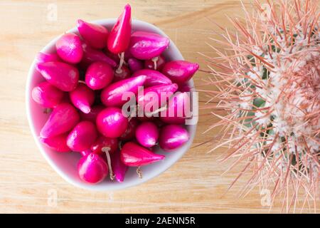 Pitiguey Rosa Frucht und Melocactus Curvispinus Stockfoto