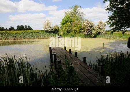 Dorf Teich, Biddenham, Bedfordshire, war einst der Manor-Karpfen-Teich und wurde im Jahr 1986 restauriert. Stockfoto