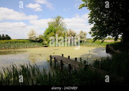 Dorf Teich, Biddenham, Bedfordshire, war einst der Manor-Karpfen-Teich und wurde im Jahr 1986 restauriert. Stockfoto