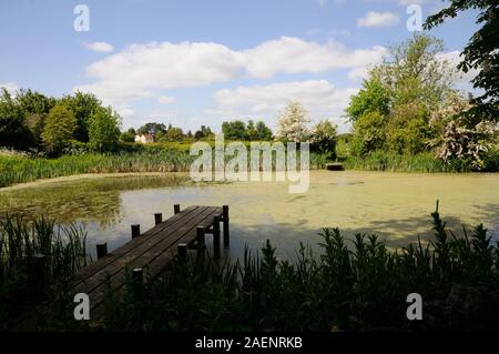 Dorf Teich, Biddenham, Bedfordshire, war einst der Manor-Karpfen-Teich und wurde im Jahr 1986 restauriert. Stockfoto