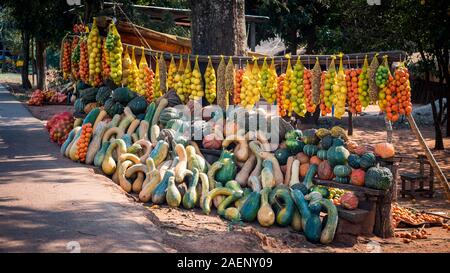 Vielfalt der Kürbisse auf einem Straßenmarkt Gemüse shop in Südamerika. Herbst und Halloween Konzept. Stockfoto