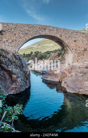 Steinbogen von Ponte Vecchiu Genoise Brücke über den Fango Fluss in Korsika Stockfoto