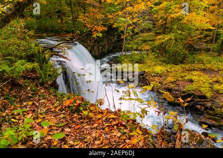 Blick auf Choshi Otaki Wasserfall in Oirase Bergbach an Oirase Tal im Herbst Jahreszeit in Towada Hachimantai Nationalpark, Präfektur Aomori, Jap Stockfoto