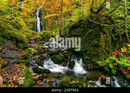 Blick auf Komoi kein tagi Wasserfall im Herbst Jahreszeit an Oirase Schlucht mit der buntes Laub Wald und grün bemoosten Felsen mit der fallenden l abgedeckt Stockfoto