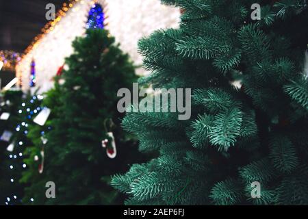 Weihnachtsbäume zum Verkauf im Laden. 2020 Stockfoto