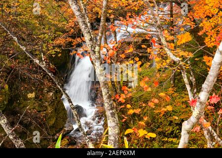 Wasserfall in Yukawa River im buntes Laub im Herbst Wald an der Stadt von Nikko in der Präfektur Tochigi, Japan. Stockfoto