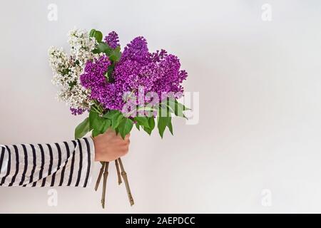 Woman's Hand mit einem Blumenstrauß der wunderschönen violetten Blüten Stockfoto