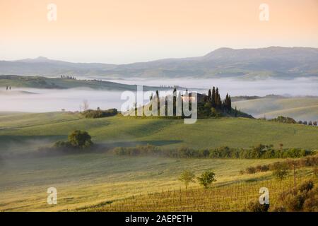 Das Belvedere-Bauernhaus in Val d ' Orcia mit Morgennebel, San Quirico d ' Orcia, Toskana, Italien Stockfoto
