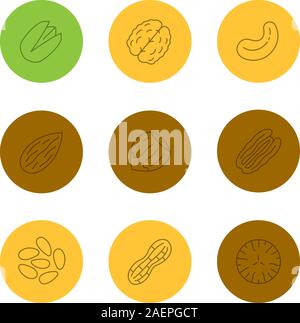 Muttern Arten lineare Symbole gesetzt. Pistazien-, Walnuss, Cashewnuss und Pecan Nüsse, Mandeln, Haselnuss, Pinenuts, Erdnuß, Muskatnuss. Thin Line outline Symbole in Farbe Stock Vektor