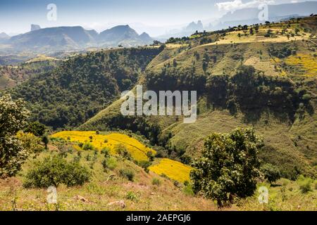 Äthiopien, Tigray, landwirtschaftliche Felder auf steilen Hängen in der bergigen Landschaft Stockfoto