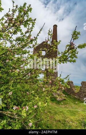 Die Carn Galver Mine in Cornwall, England, Großbritannien, Vereinigtes Königreich, Unesco Ruine Stockfoto