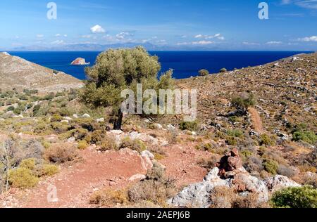 Fußweg vom Mikro Horio zu Lethra Strand, Tilos, Dodecanese Inseln, südliche Ägäis, Griechenland. Stockfoto