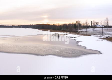 Ein paar Höckerschwäne (Cygnus olor) auf einer teilweise zugefrorenen See bei Sonnenaufgang. Tartu, Estland. Stockfoto