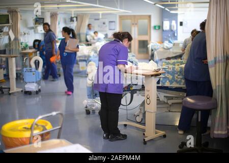 Eine Krankenschwester an einer Arbeitsstation in einem NHS Krankenstation. Der NHS ist zunehmend unter Druck, mit Mangel an der Finanzierung. Stockfoto