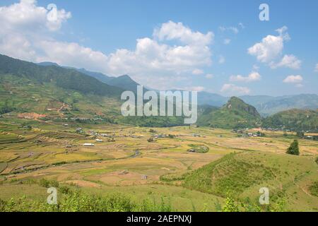 Gleitschirm fliegt über die grünen, braunen, gelben und goldenen Reisterrassenfelder des Tals TU Le, nordwestlich von Vietnam Stockfoto