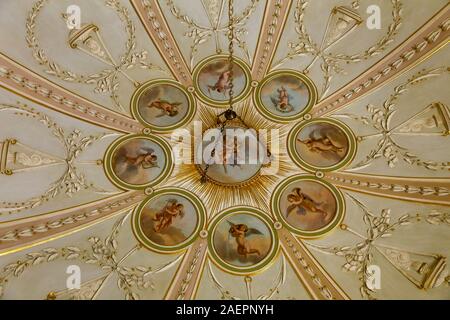 Detail von der Decke, entworfen von George Steuart in The Sultana Zimmer im Attingham Park, Shropshire. Das gemalte Rondell ist basierend auf einem Design von den 1770er Jahren Stockfoto