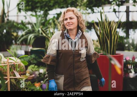 Blumengeschäft mit professionellen Kleidung in einer Baumschule. Konzept der handwerklichen Arbeit mit Blumen. Stockfoto