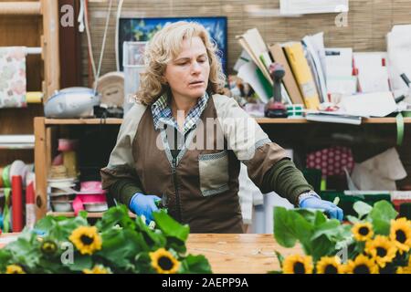 Blumengeschäft mit professionellen Kleidung in einem Kinderzimmer schneiden Sonnenblumen. Stockfoto