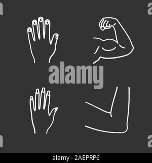 Teile des menschlichen Körpers chalk Symbole gesetzt. Männliche und weibliche Hände, muskulösen Bizeps, ellbogengelenk. Isolierte vektor Tafel Abbildungen Stock Vektor