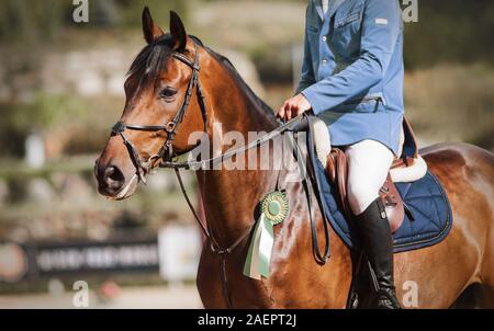 An Equestrian Sport Wettbewerbe, eine schöne Bucht Pferd mit einem Reiter im Sattel erhalten eine grüne Rosette als Belohnung. Stockfoto
