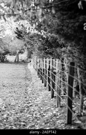 Alten hölzernen Zaun und Stacheldraht um eine Wiese in der Normandie Stockfoto