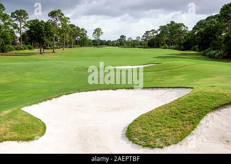 Port St. Saint Lucie Florida, PGA Golf Club im PGA Village, Golfplatz Fairway, Sandfalle, Bunker, Pinien, FL190920007 Stockfoto