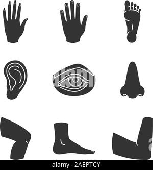 Teile des menschlichen Körpers Glyphe Symbole gesetzt. Silhouette Symbole. Männliche und weibliche Hände, Nase, Augen, Füße, Ohren-, Ellenbogen, Knie. Vektor isoliert Abbildung Stock Vektor