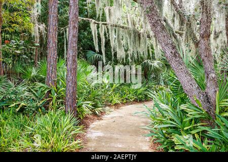Port St. Saint Lucie Florida, Port St. Lucie Botanical Gardens, Gehweg, moos drapierter Baum, Vegetation, FL190920031 Stockfoto