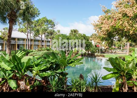 Orlando Florida, Wyndham Orlando Resort International Drive, Hotel, außen, Garten, Grundstück, Landschaftsgestaltung, Wasserspiel, Vegetation, FL191110055 Stockfoto